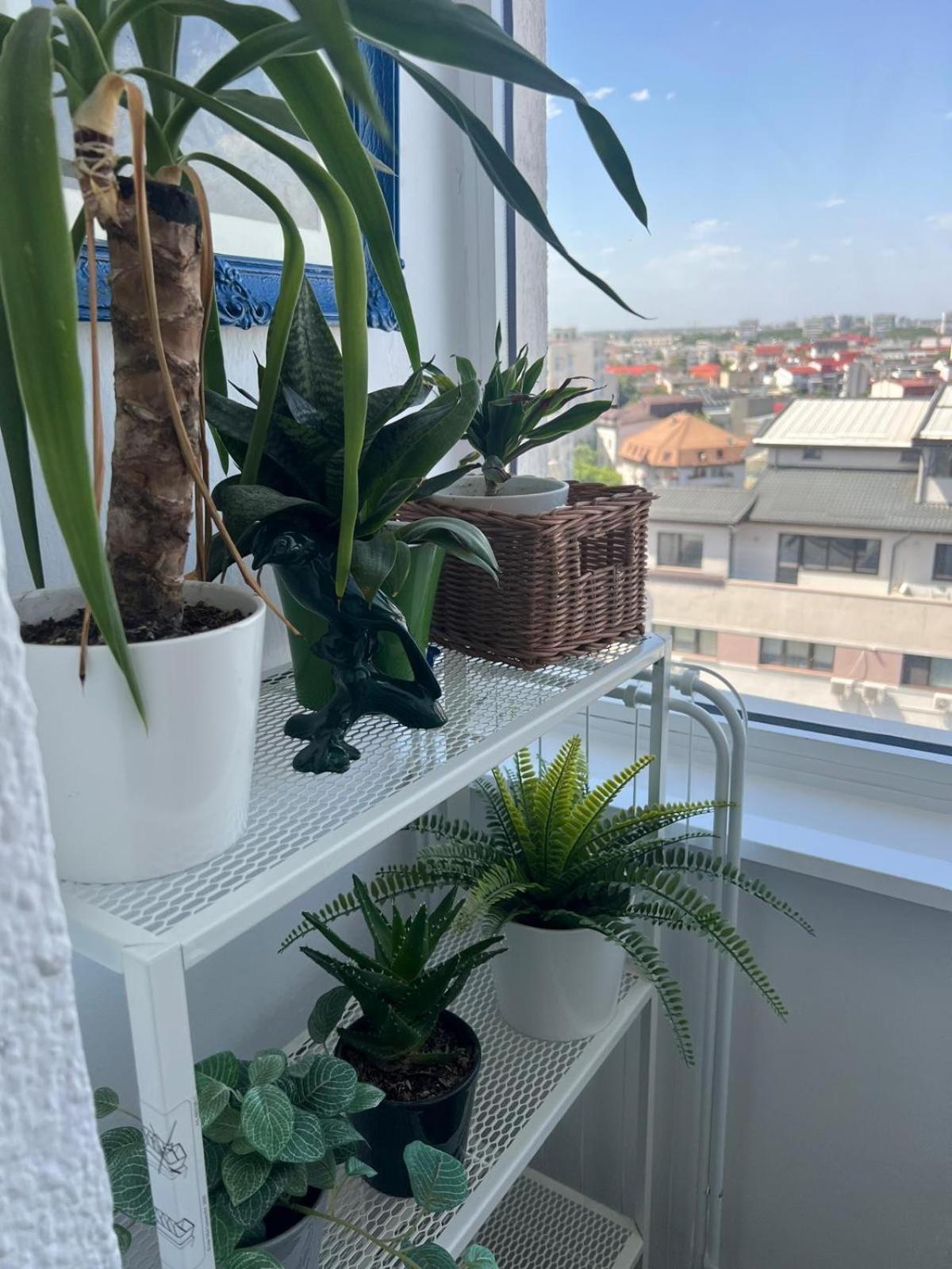 1Bdr Apartment Perla 225 Bukareszt Zewnętrze zdjęcie